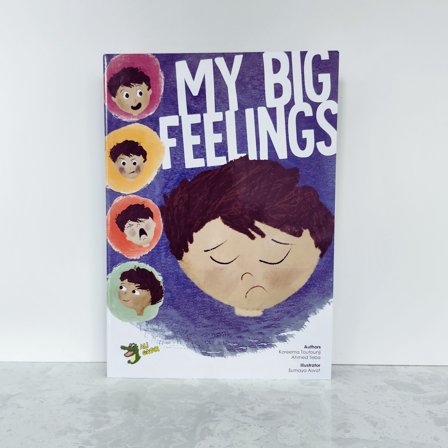 My Big Feelings (paperback)
